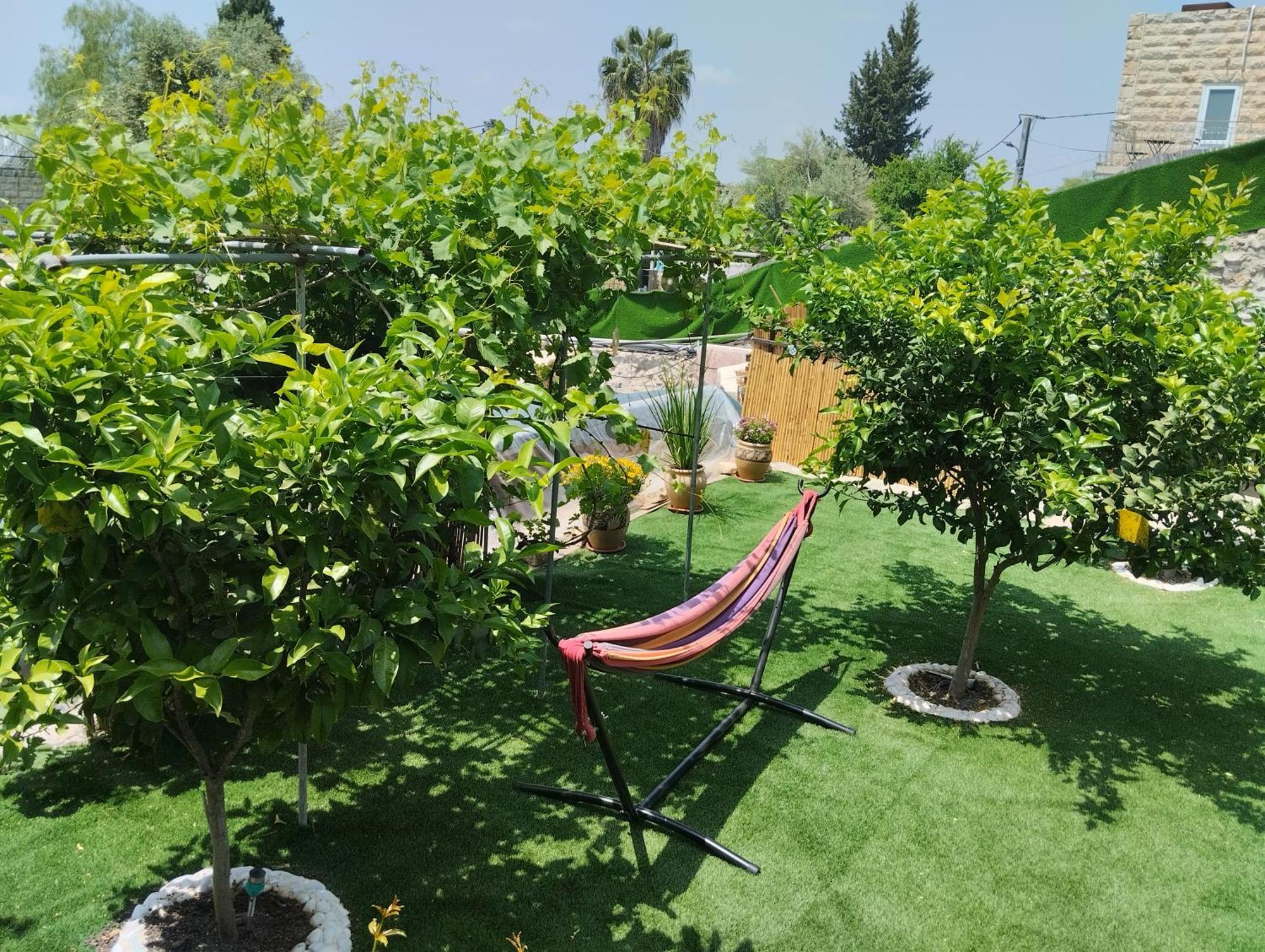 Appartement קסם עין כרם à Jérusalem Extérieur photo